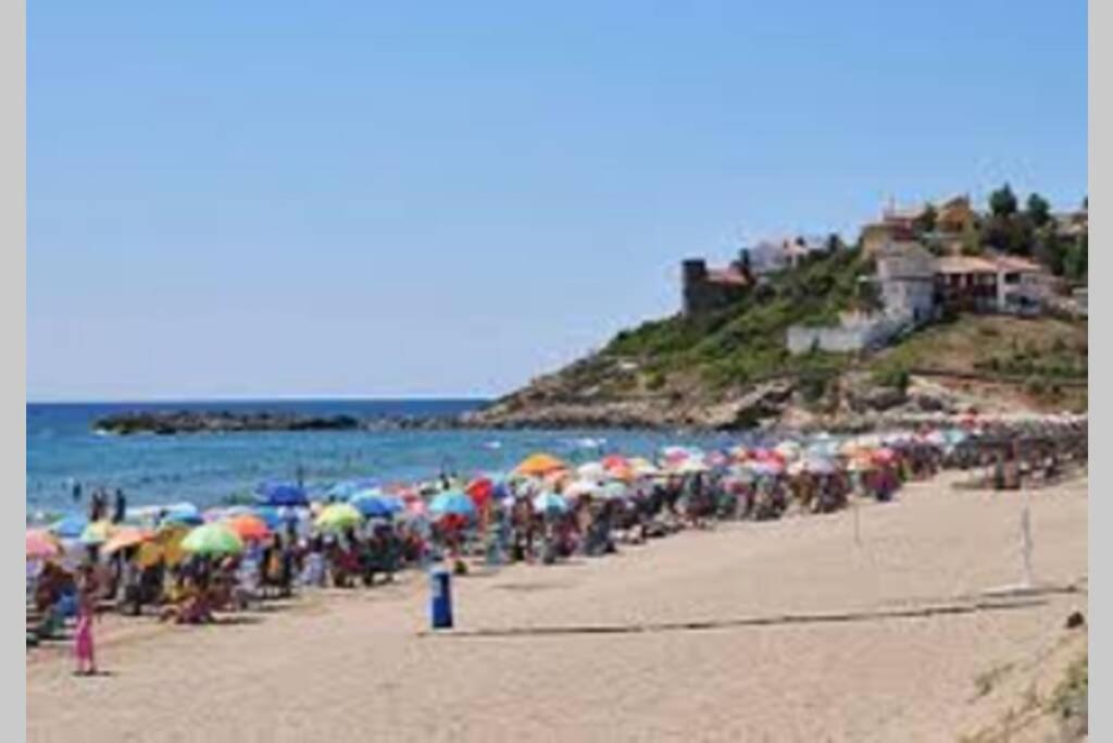 Trebol - Morro De Gos *
