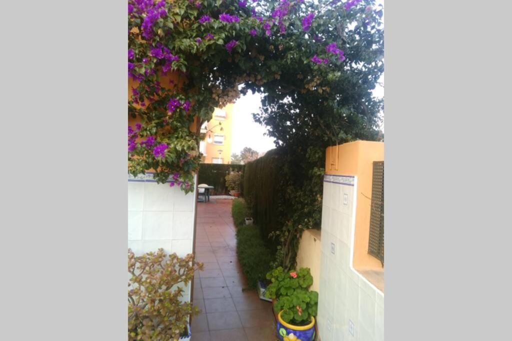 Trebol - Morro De Gos *